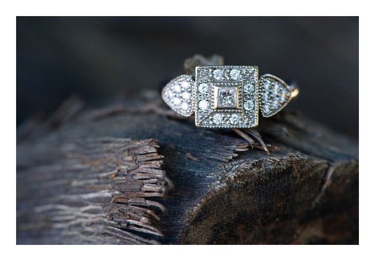 San Juan Capistrano Mission Engagement Session