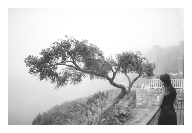 Fine Art Wedding Photographer Orange County Los Angeles International Destinations 