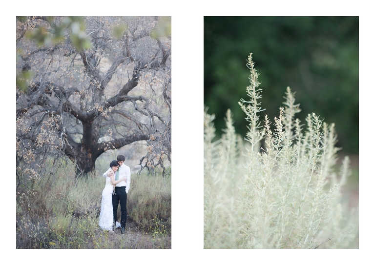 Fine Art Wedding Photographer