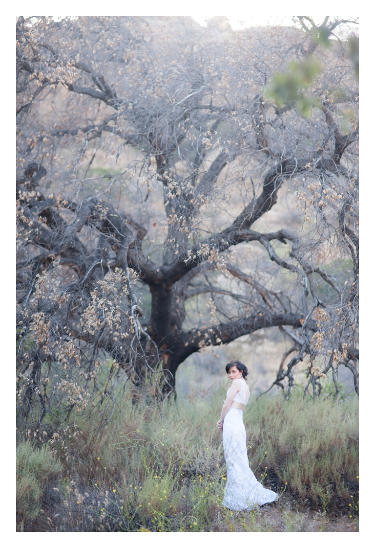 Fine Art Wedding Photographer
