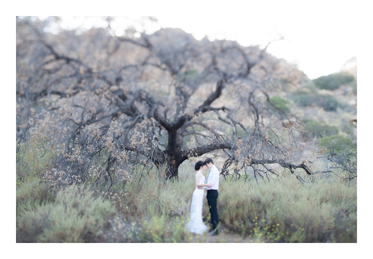 Fine Art Wedding Photographer