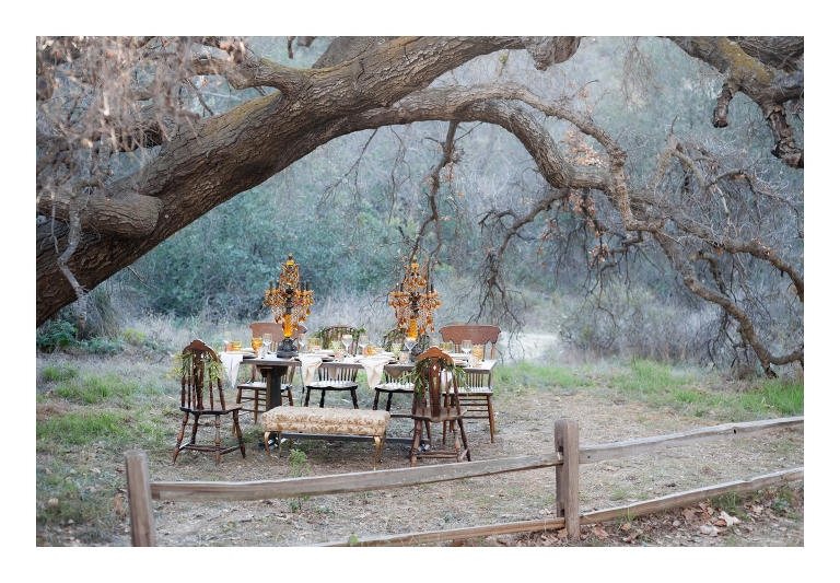 Fall wedding ideas and inspiration photos