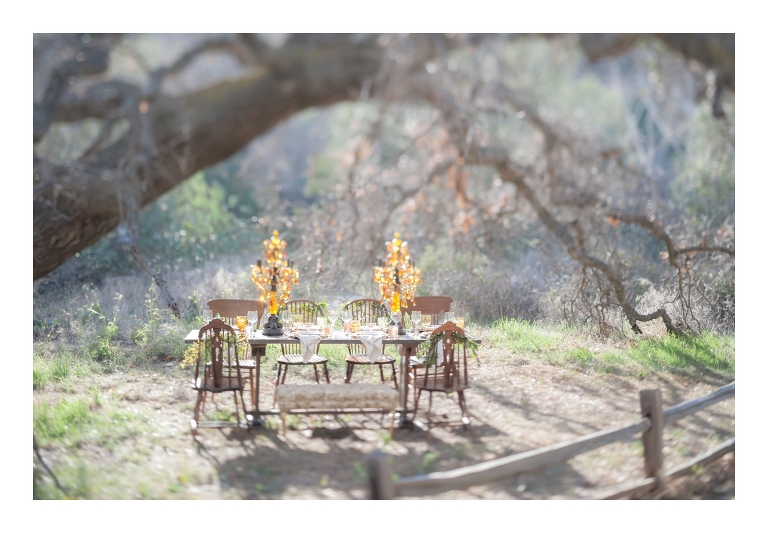 Fall wedding ideas photos