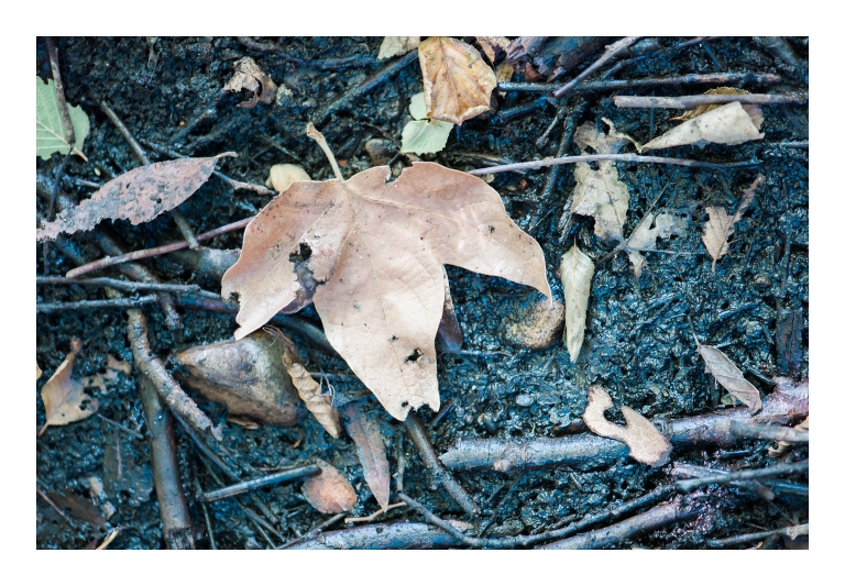 Malibu Wedding Photography_0000