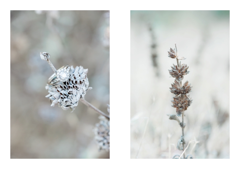 Malibu Wedding Photographer