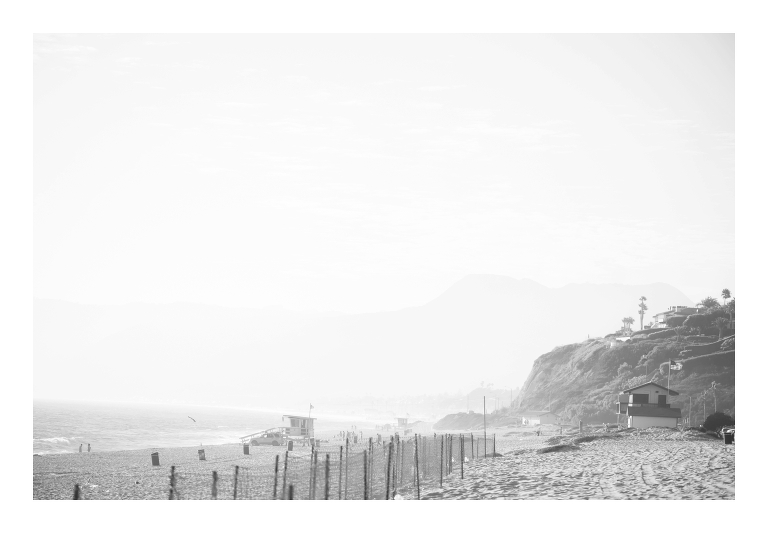 Malibu Wedding Photographer
